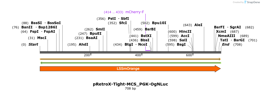 126380_map