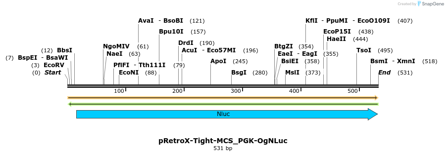 126381_map