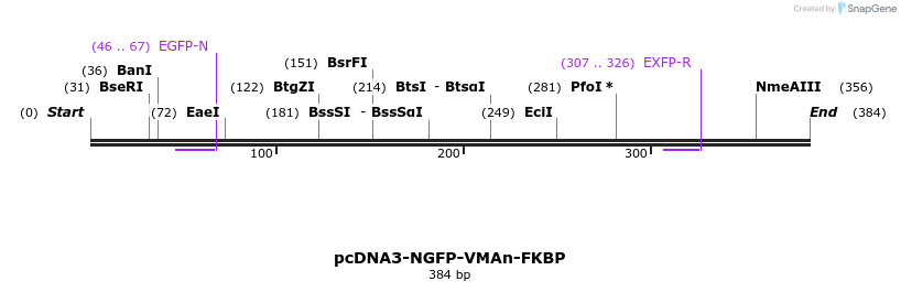 126386_map