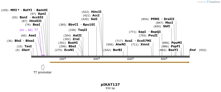 126391_map