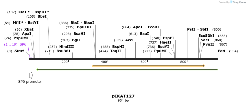 126392_map