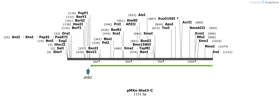 126397_map