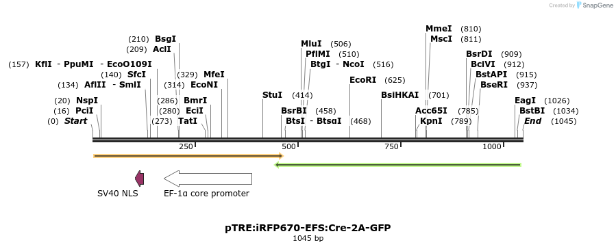 126400_map