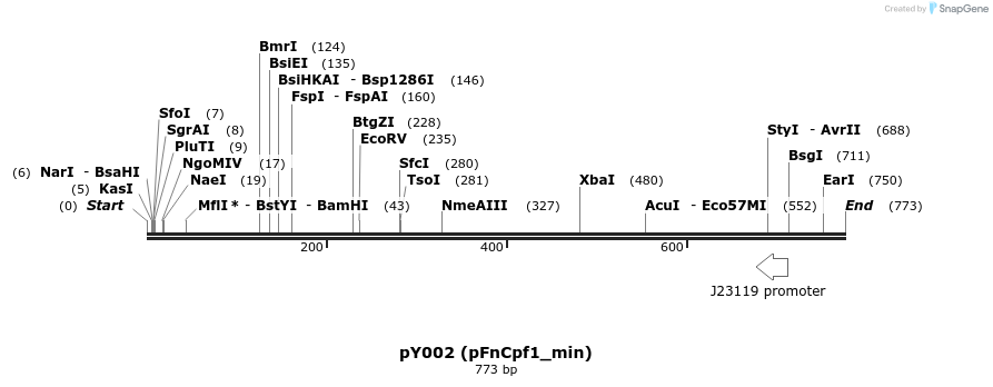 126406_map