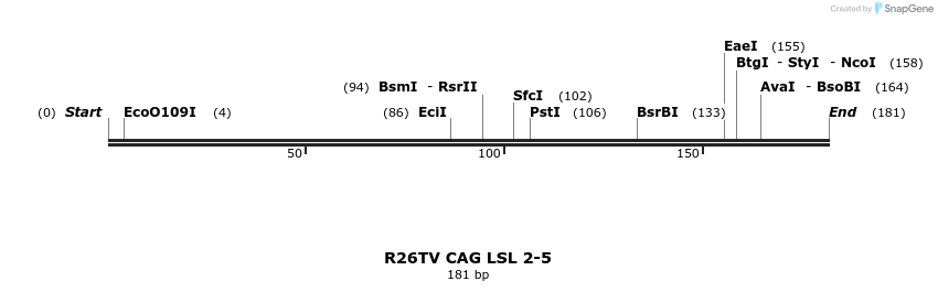 126407_map