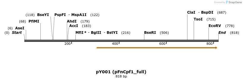 126410_map