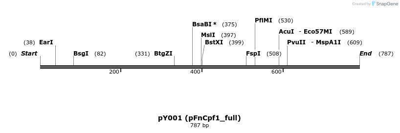 126412_map