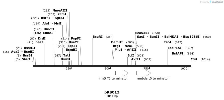 126415_map