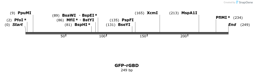 12643_map