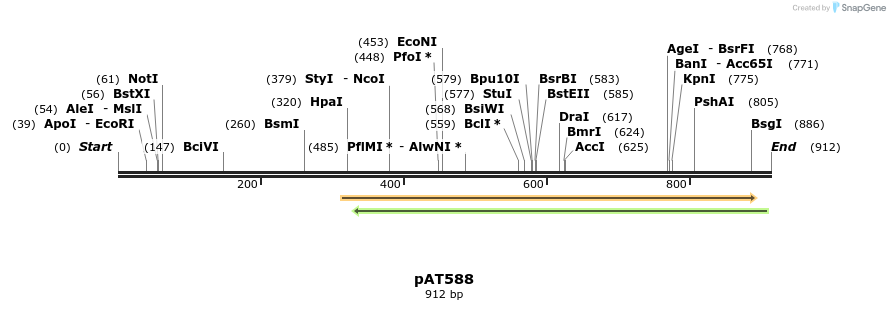 126434_map