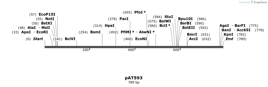 126436_map