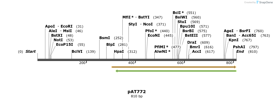 126441_map