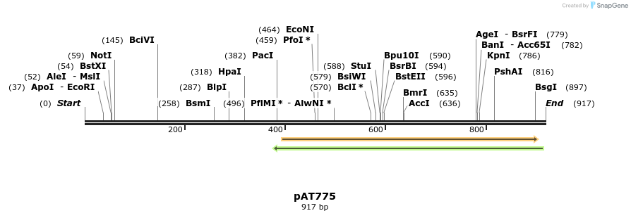 126446_map
