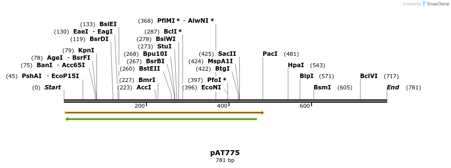 126449_map