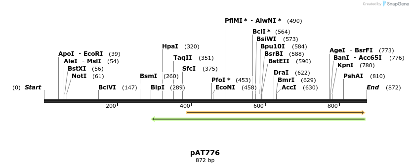 126450_map
