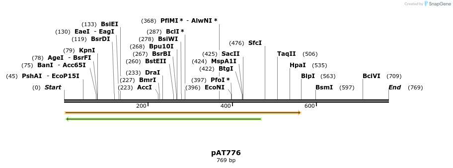 126451_map
