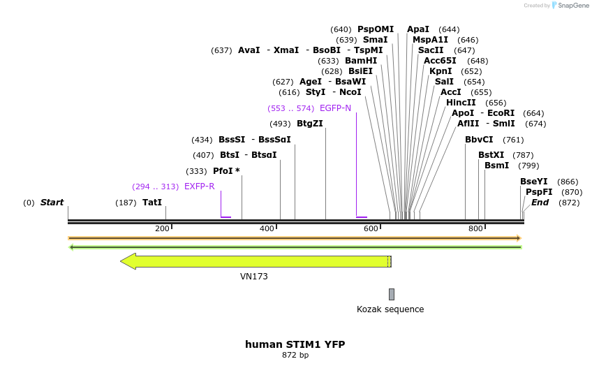 126459_map
