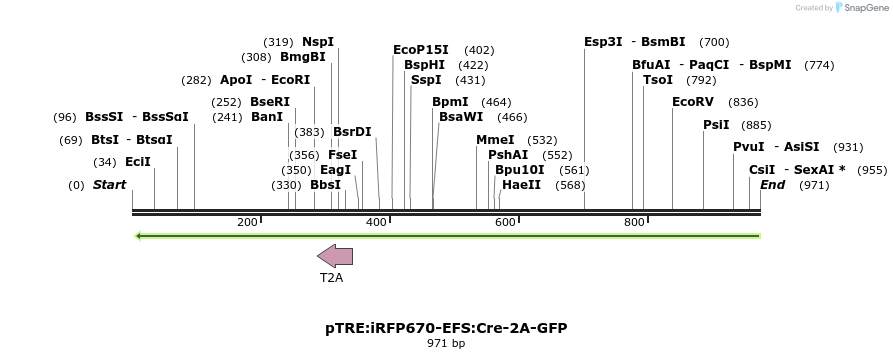 126462_map