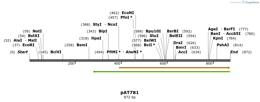 126463_map