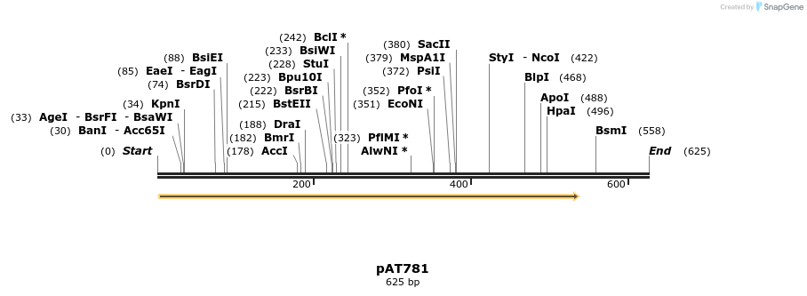 126466_map