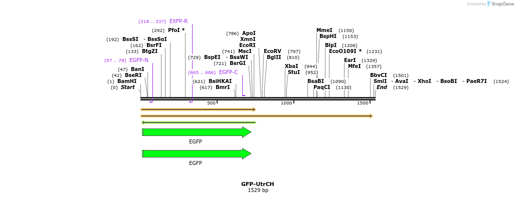 12647_map