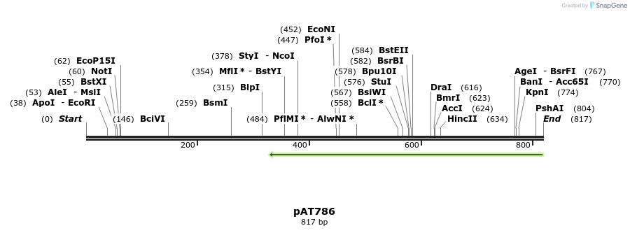 126475_map