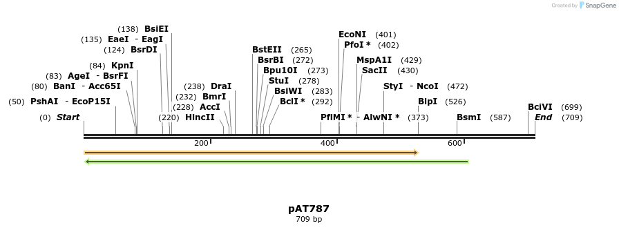 126490_map