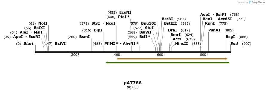 126492_map