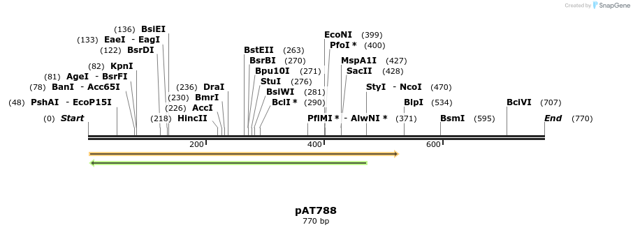 126495_map