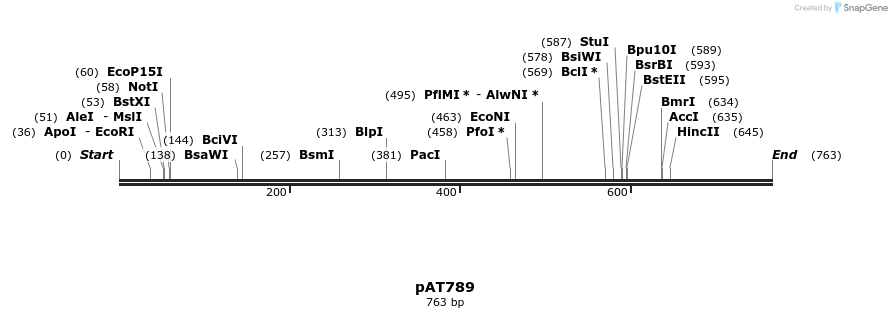 126496_map