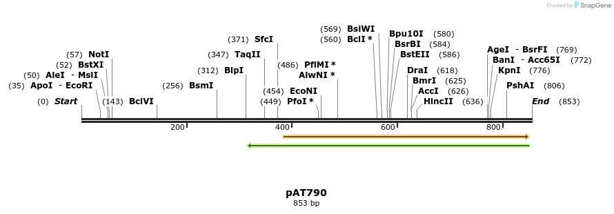 126498_map