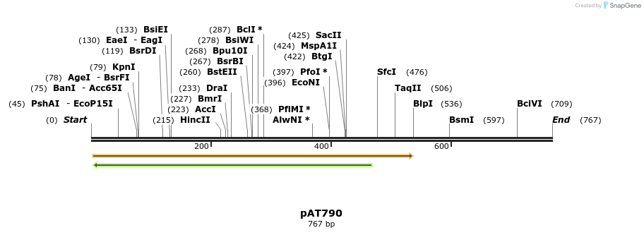 126499_map