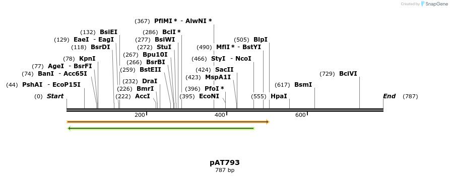 126501_map