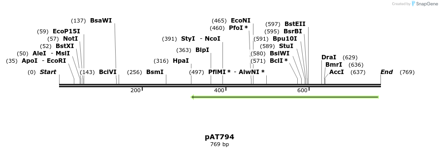 126502_map