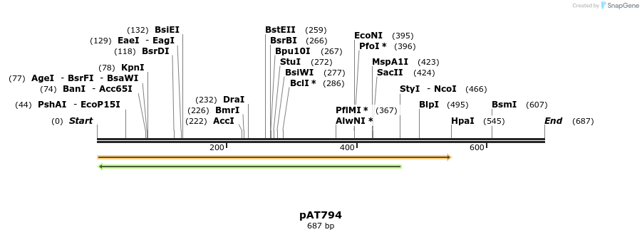 126503_map