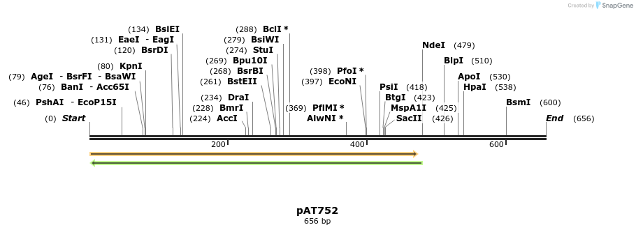 126507_map