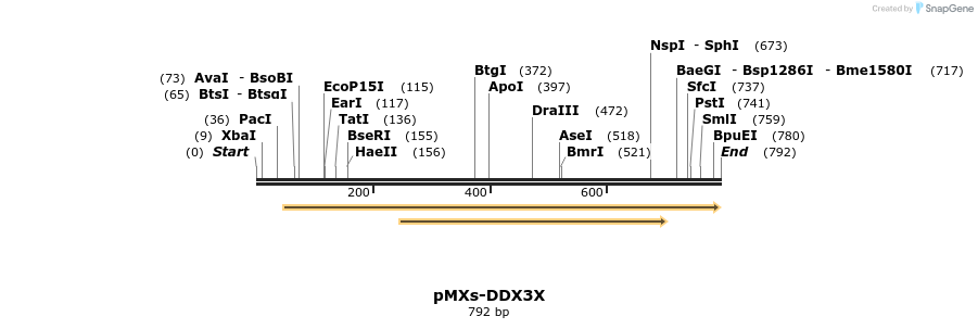 126513_map