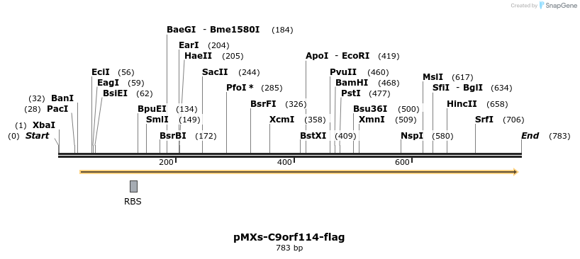 126514_map