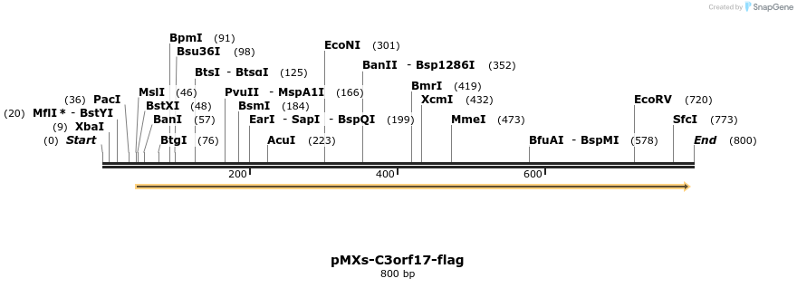 126515_map