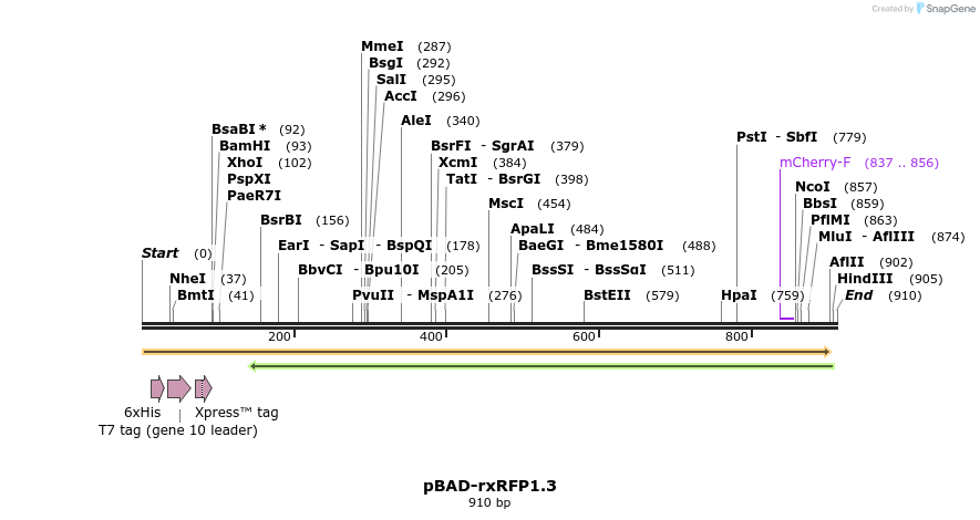 126520_map