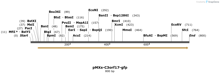 126521_map