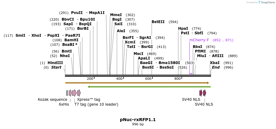 126524_map