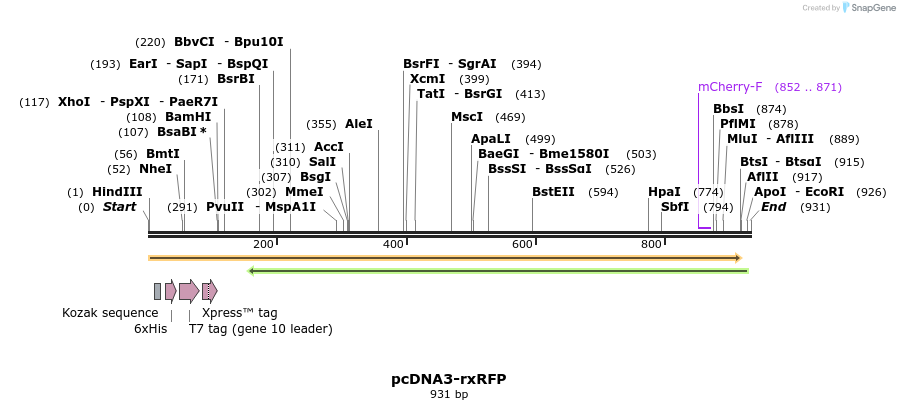 126525_map