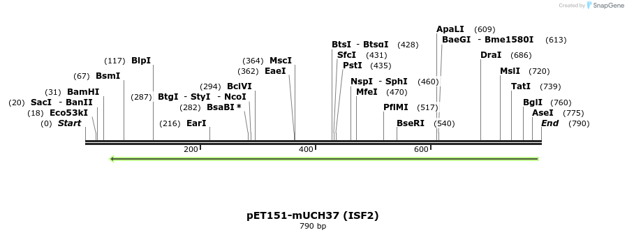 126528_map