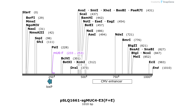 126530_map