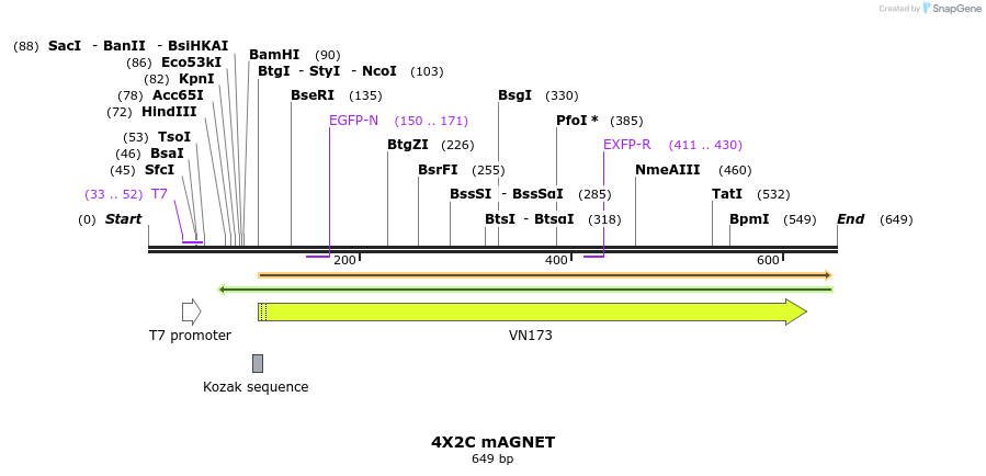 126536_map