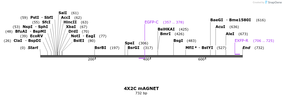 126538_map
