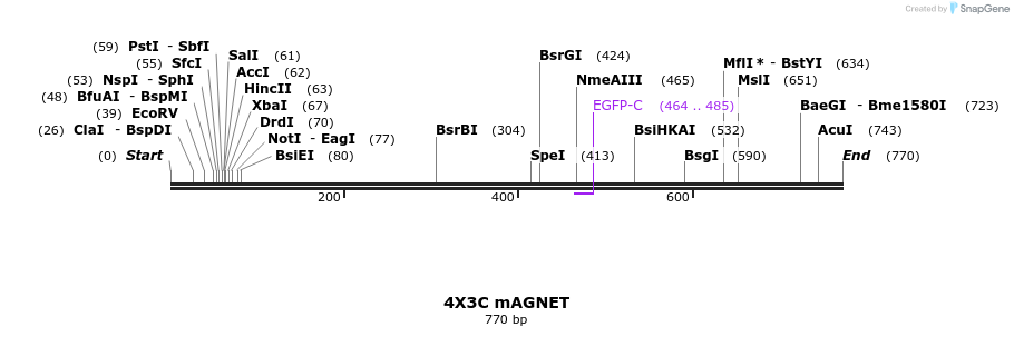 126542_map