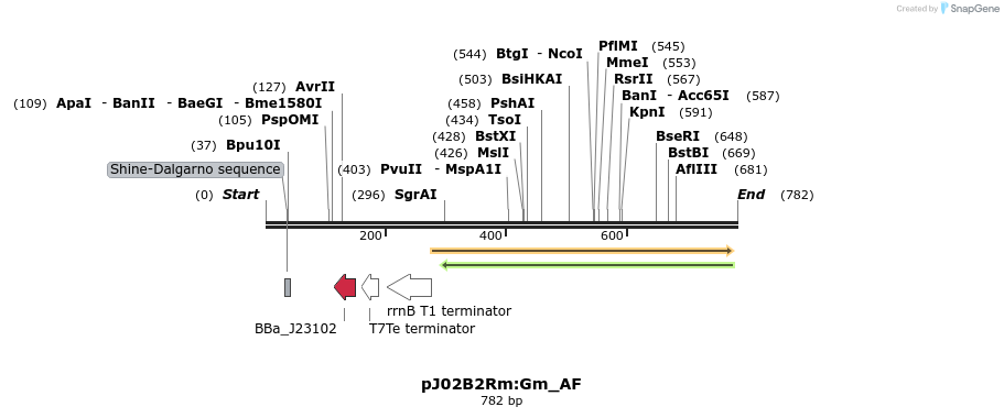 126557_map