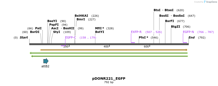 126558_map